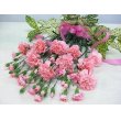 東京都新宿区フラワーショップ　クロサワの花　ピンク１輪ものカーネーションとピンクスプレーカーネーション花束