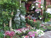 東京都新宿区の花屋　フラワーショップ　クロサワ